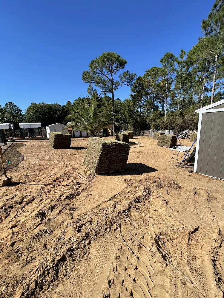 Local lawn care service experts serving Gulf Breeze, FL - Bee Green Landscaping LLC