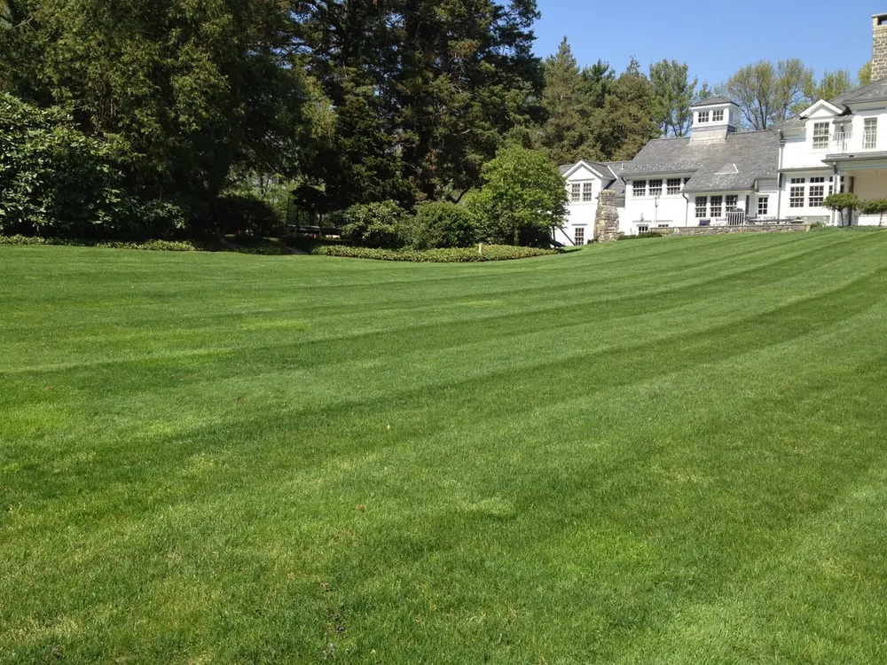 Reliable outdoor landscaping experts serving Norwalk, CT - Bee Green Lawn & Land Care