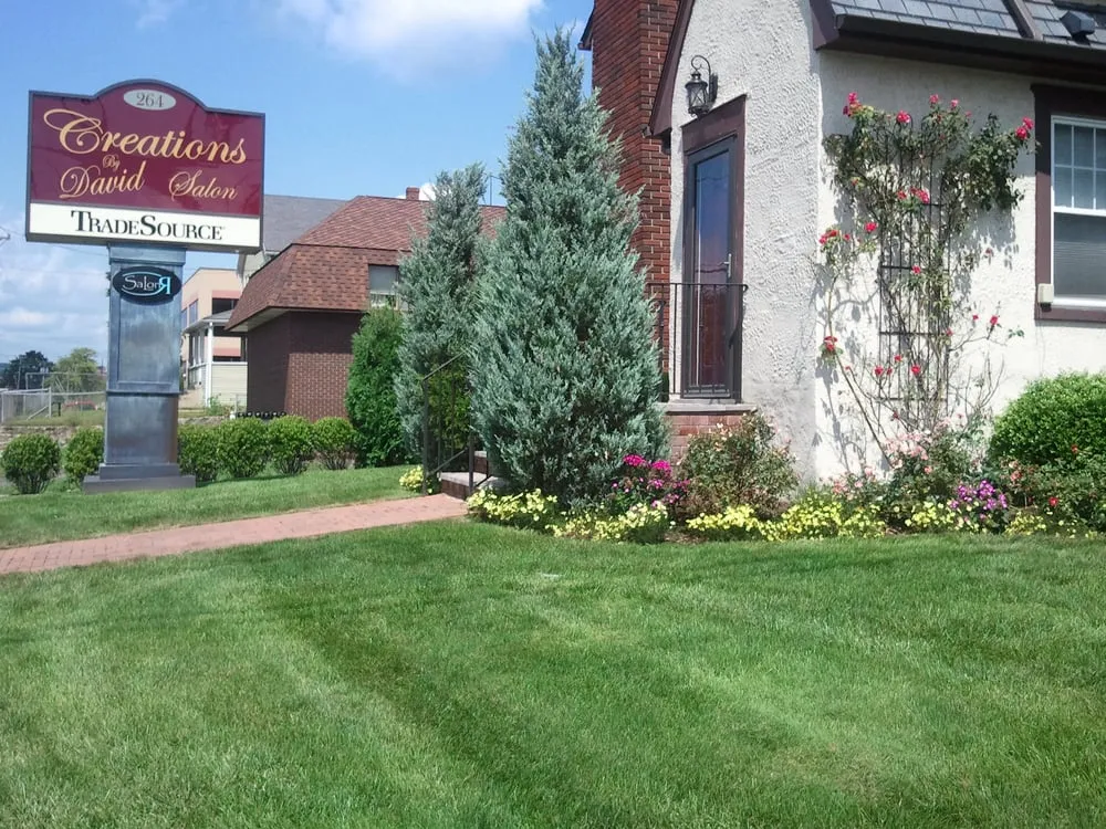 Local lawn care service in Norwalk, CT - Bee Green Lawn & Land Care