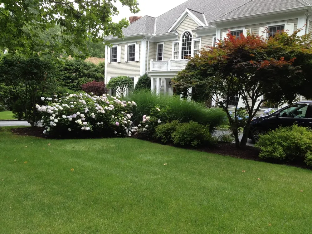 Affordable yard cleanup service for year-round maintenance across Norwalk, CT - Bee Green Lawn & Land Care