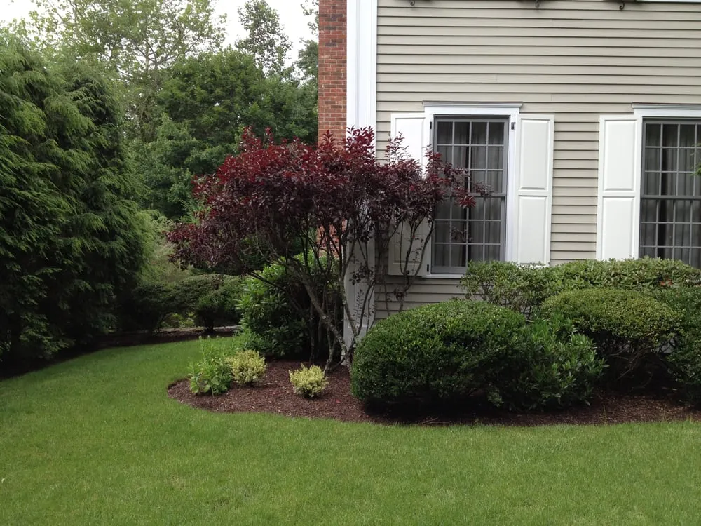 Local lawn care service for outdoor upgrades in Norwalk, CT by Bee Green Lawn & Land Care