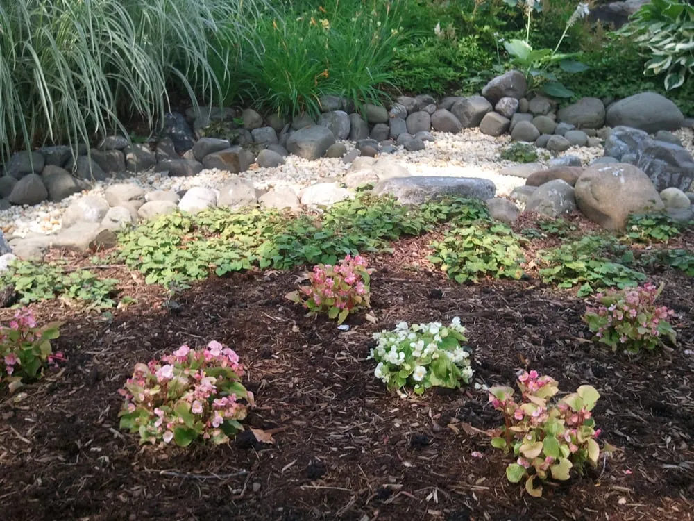 Expert lawn mowing service experts serving Norwalk, CT - Bee Green Lawn & Land Care