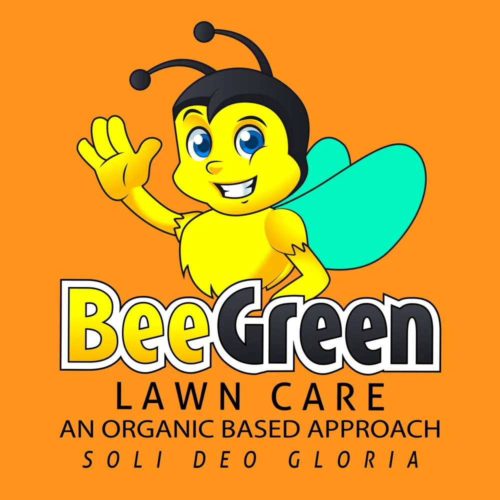 Reliable yard maintenance experts serving Largo, FL - Bee Green Lawn Care