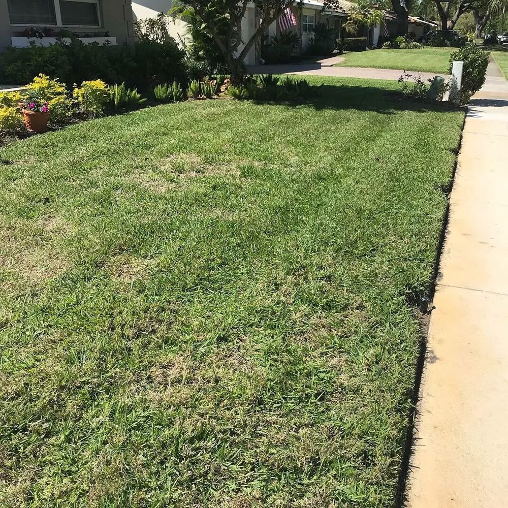 Professional yard maintenance in Largo, FL by Bee Green Lawn Care