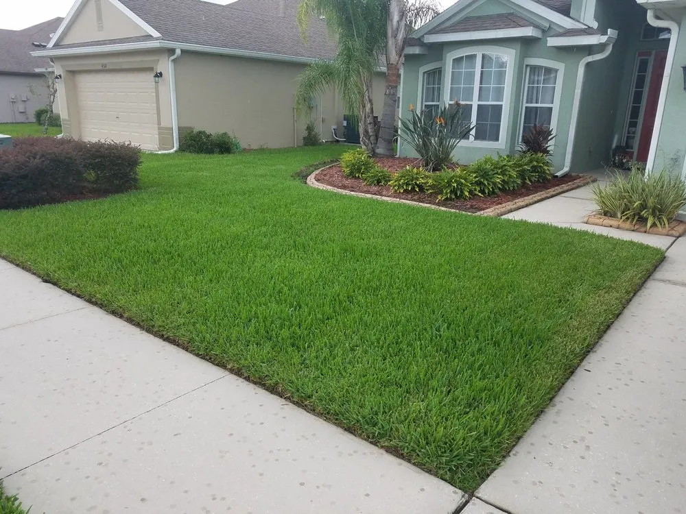 Expert lawn mowing service experts serving Largo, FL - Bee Green Lawn Care