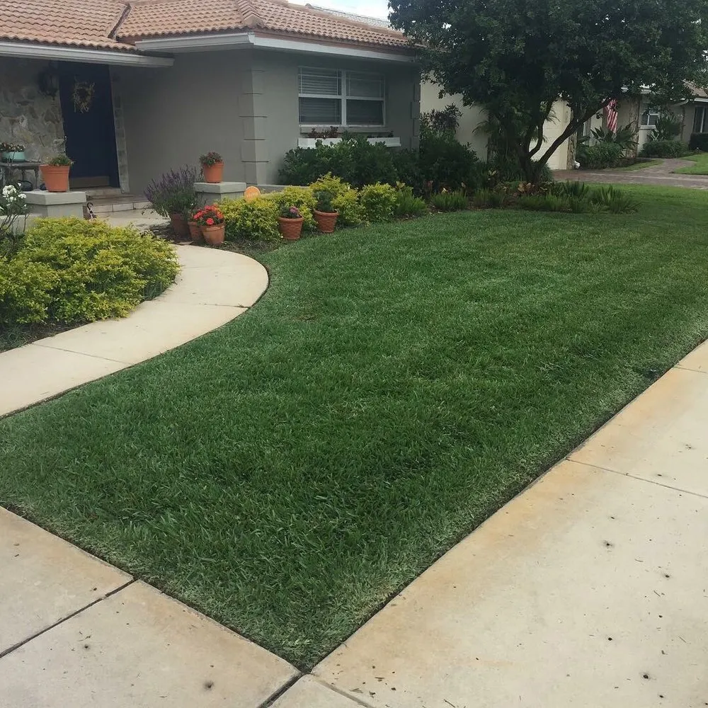 Trusted landscape installation for beautiful yards in Largo, FL by Bee Green Lawn Care