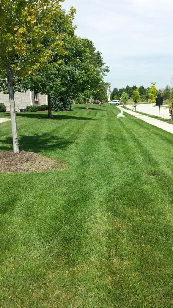 Local landscape design with custom design across Carmel, IN - Bee Green Organic & Traditional Lawn & Plant Healthcare