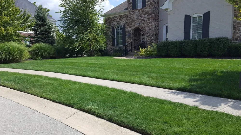 Top-rated yard cleanup service for outdoor upgrades in Carmel, IN by Bee Green Organic & Traditional Lawn & Plant Healthcare