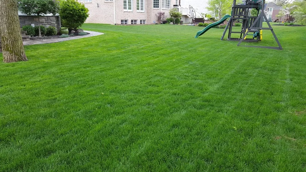 Custom residential landscaping for beautiful yards across Carmel, IN - Bee Green Organic & Traditional Lawn & Plant Healthcare
