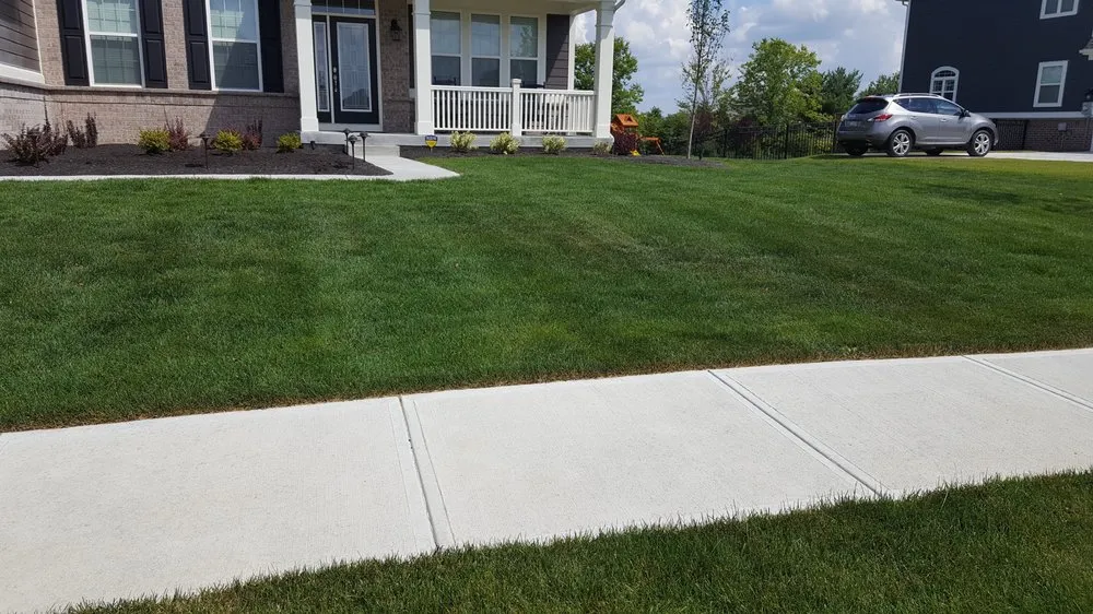 Local lawn mowing service experts serving Carmel, IN - Bee Green Organic & Traditional Lawn & Plant Healthcare