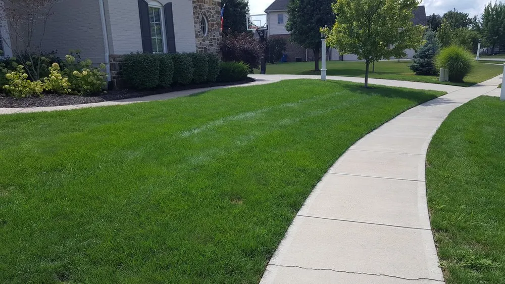 Local lawn mowing service in Carmel, IN - Bee Green Organic & Traditional Lawn & Plant Healthcare