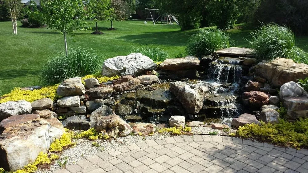 Local lawn care service for year-round maintenance across Carmel, IN - Bee Green Organic & Traditional Lawn & Plant Healthcare