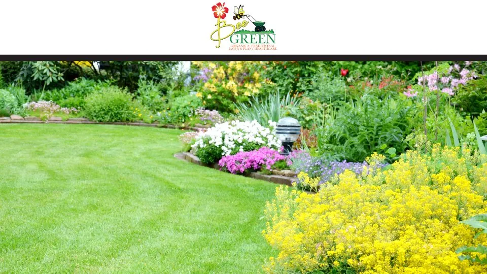 Expert yard cleanup service experts serving Carmel, IN - Bee Green Organic & Traditional Lawn & Plant Healthcare