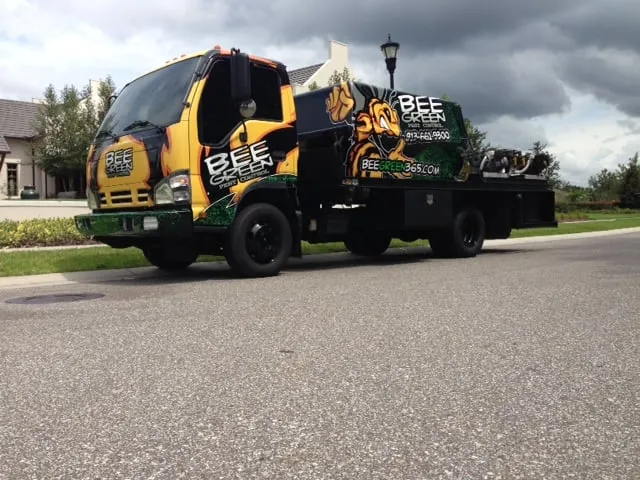 Affordable yard cleanup service in Riverview, FL - Bee Green