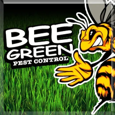 Affordable lawn mowing service in Riverview, FL - Bee Green