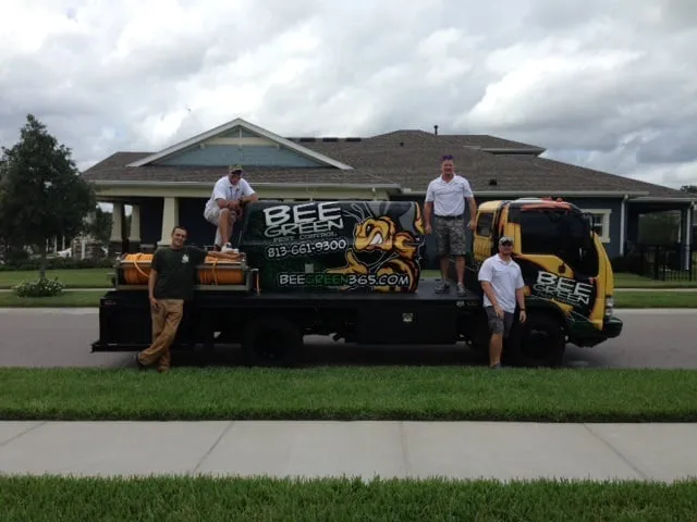 Top-rated yard cleanup service for outdoor upgrades in Riverview, FL by Bee Green