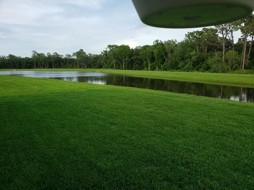 Top-rated garden landscaping experts serving Riverview, FL - Bee Green