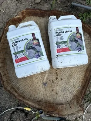 Bee Kind Home & Landscape Logo