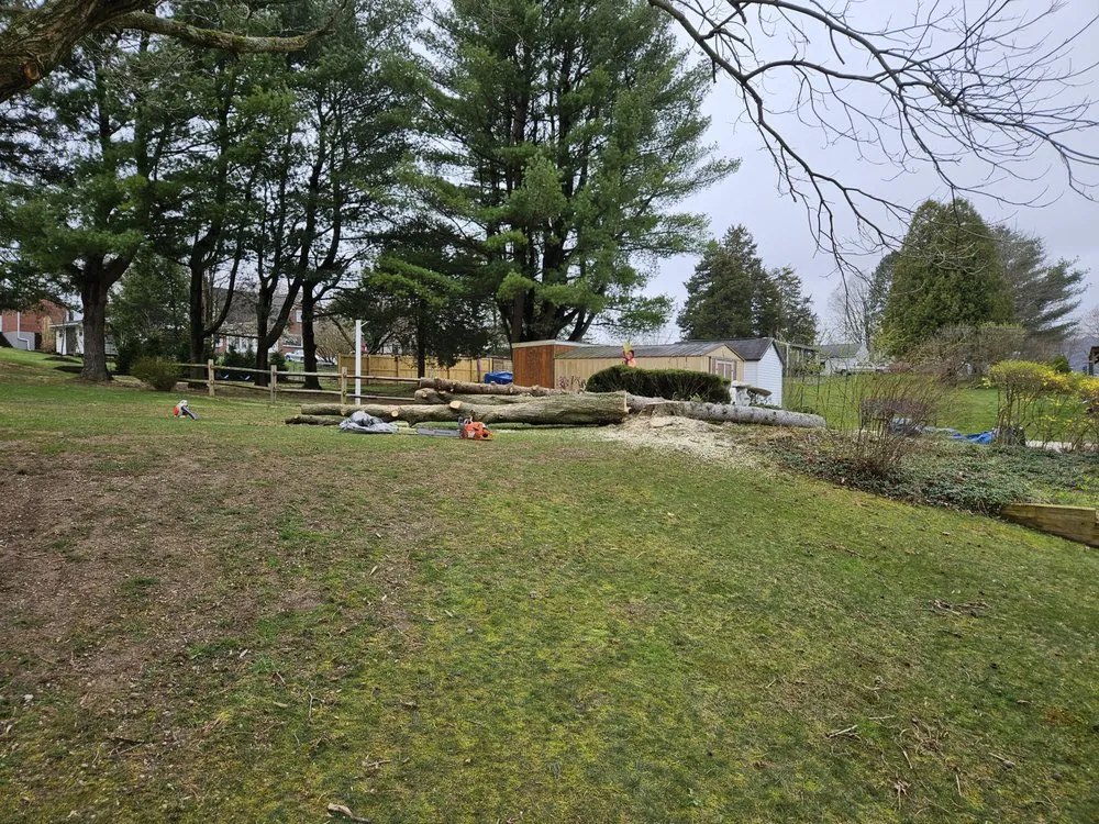 Affordable lawn care service in Port Matilda, PA by Bee Kind Landscapes