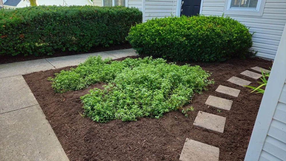 Reliable residential landscaping for residential properties in Port Matilda, PA by Bee Kind Landscapes