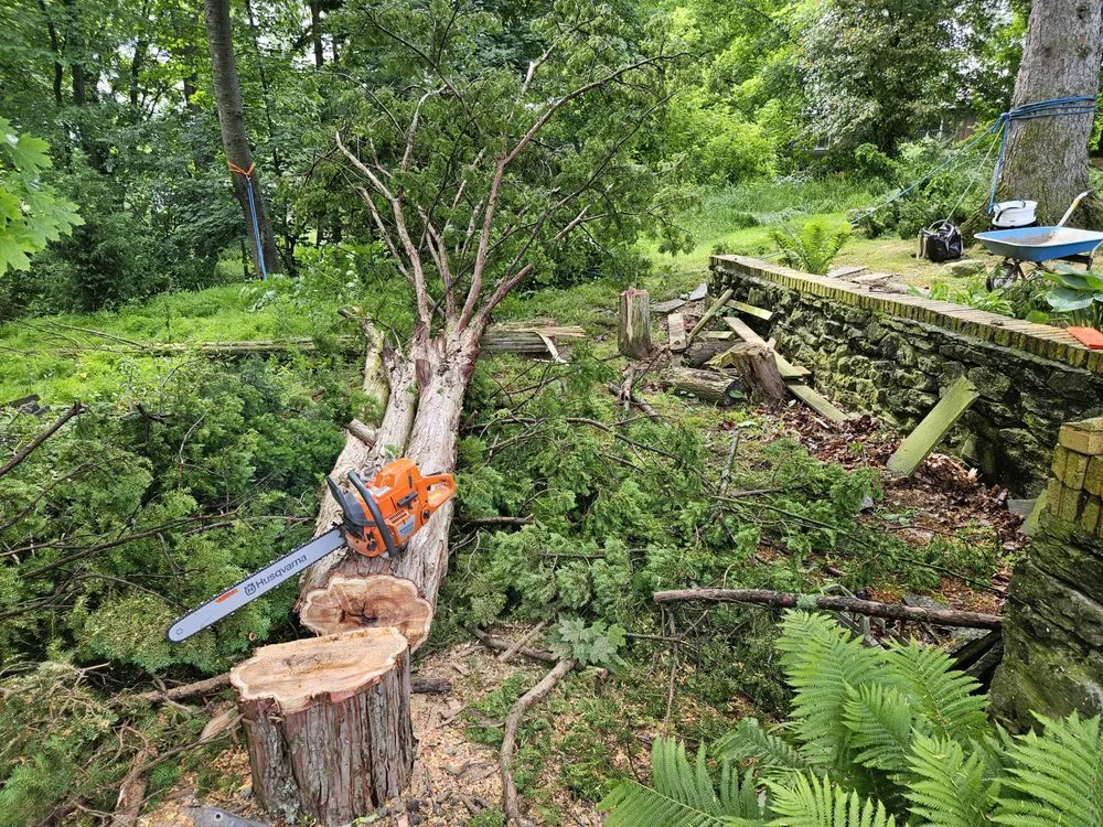 Trusted yard cleanup service in Port Matilda, PA - Bee Kind Landscapes