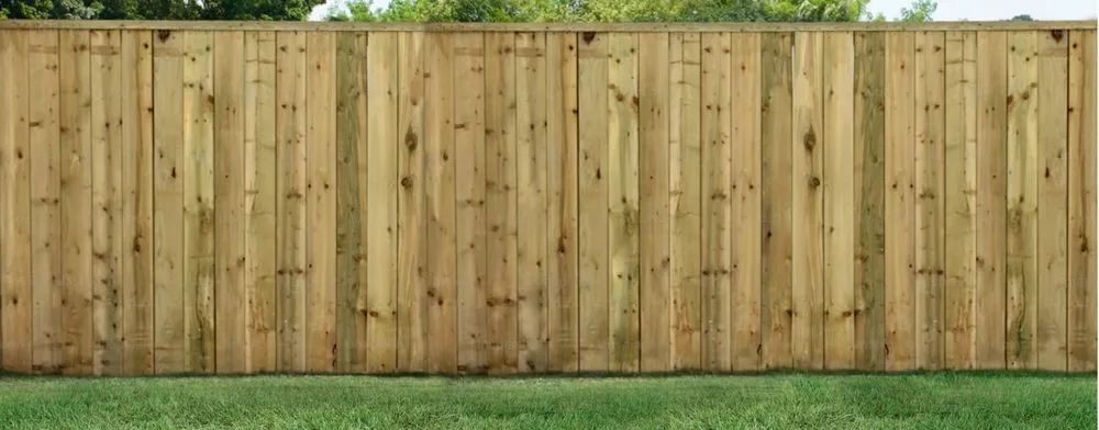 Professional yard maintenance with custom design in Texas City, TX by Bee Landscaping