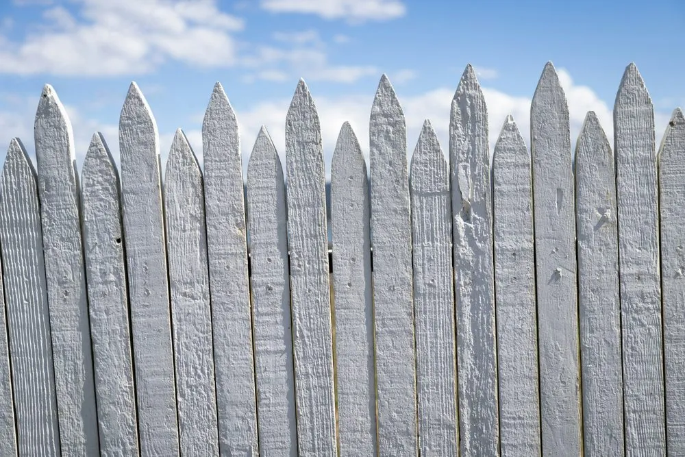 Custom outdoor landscaping in Texas City, TX by Bee Landscaping