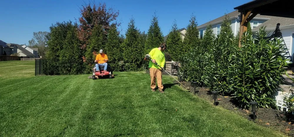 Expert landscape installation experts serving Texas City, TX - Bee Landscaping