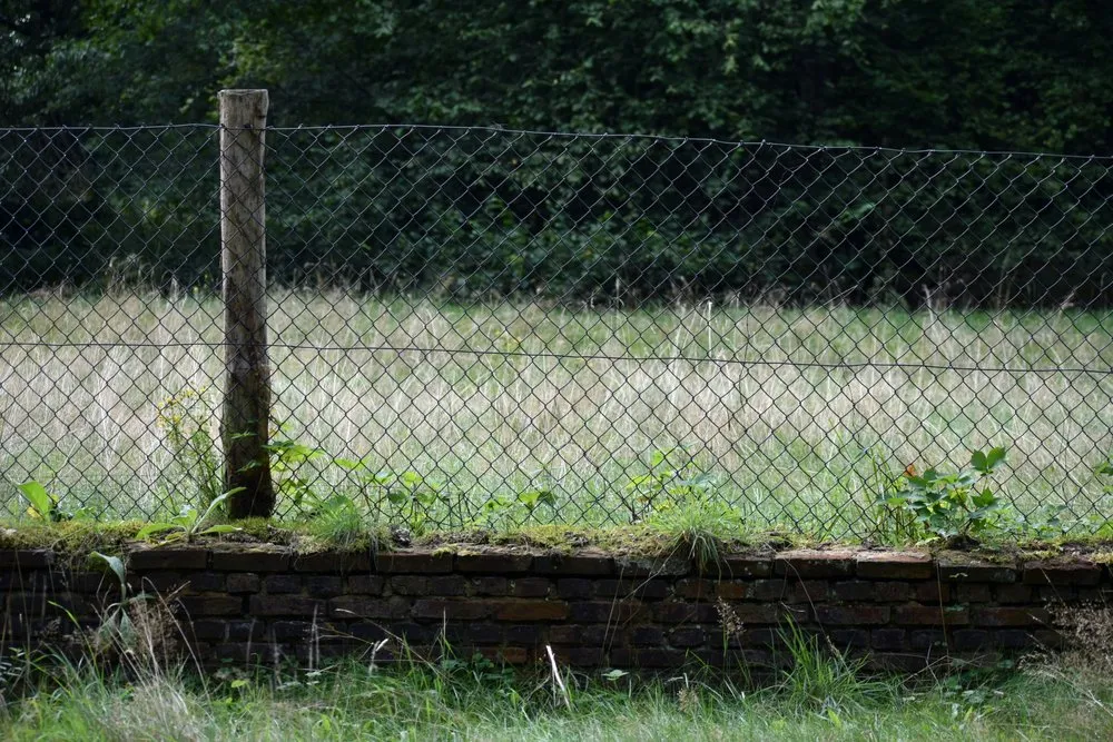 Reliable yard cleanup service for beautiful yards across Texas City, TX - Bee Landscaping