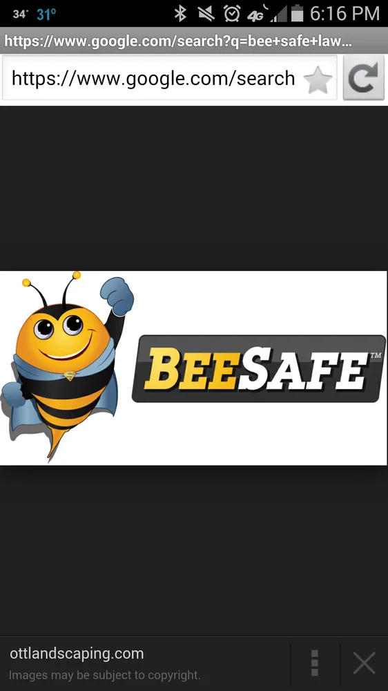 Expert lawn mowing service with custom design across Lewistown, PA - Bee Safe organic lawn care