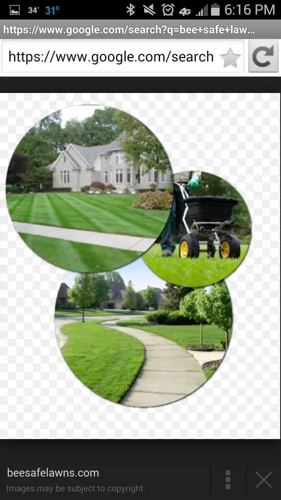 Professional yard maintenance experts serving Lewistown, PA - Bee Safe organic lawn care