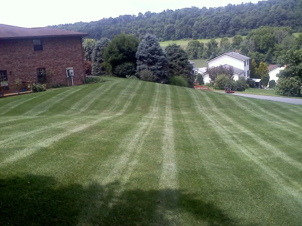 Affordable yard cleanup service for year-round maintenance in Lewistown, PA by Bee Safe organic lawn care