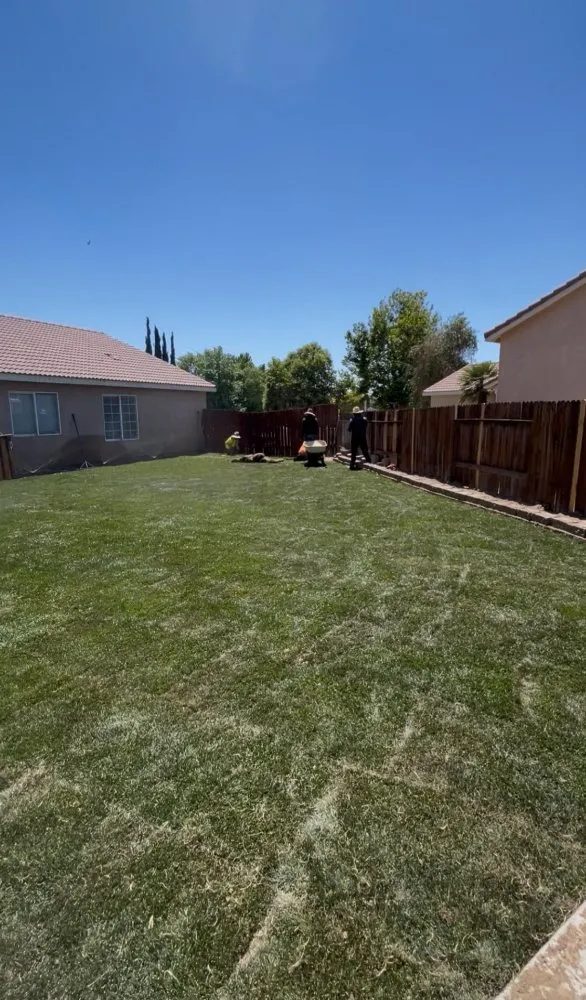 Professional landscape design for homes across Lake Los Angeles, CA - Bee-Tech Landscaping