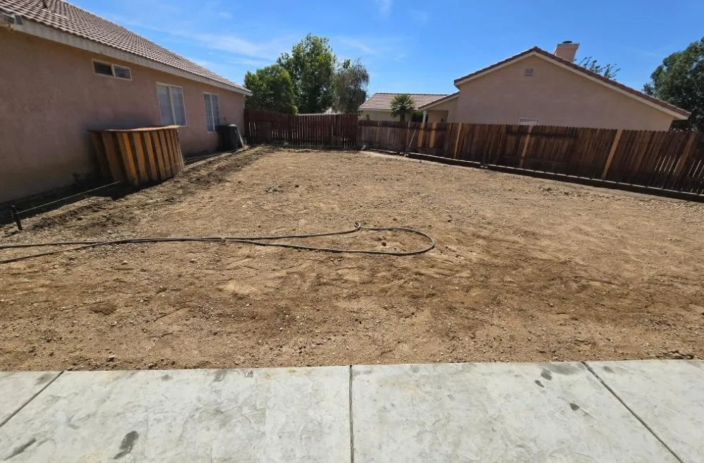 Expert lawn care service in Lake Los Angeles, CA by Bee-Tech Landscaping