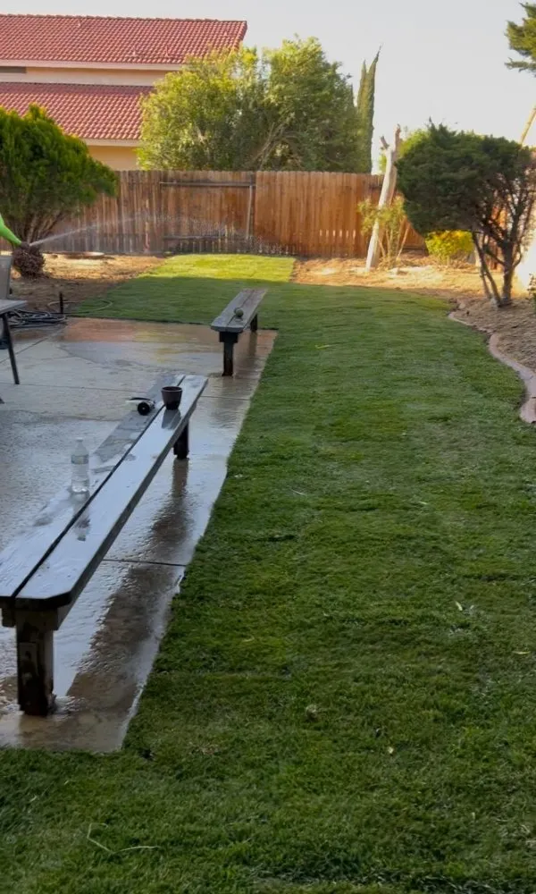 Reliable lawn mowing service for year-round maintenance across Lake Los Angeles, CA - Bee-Tech Landscaping