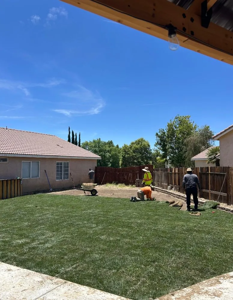 Professional lawn mowing service in Lake Los Angeles, CA - Bee-Tech Landscaping