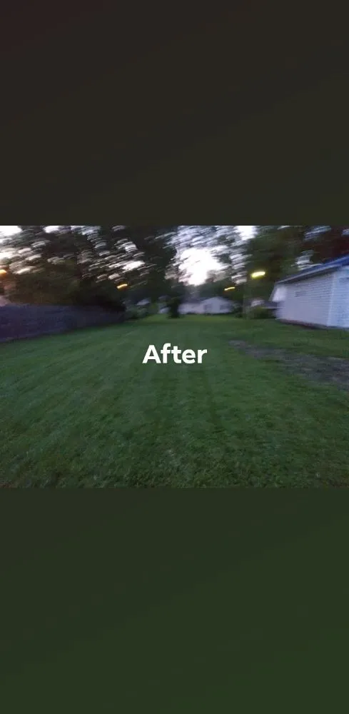 Local landscaping services experts serving Jamestown, OH - Bee There Lawn Care & house cleaning services