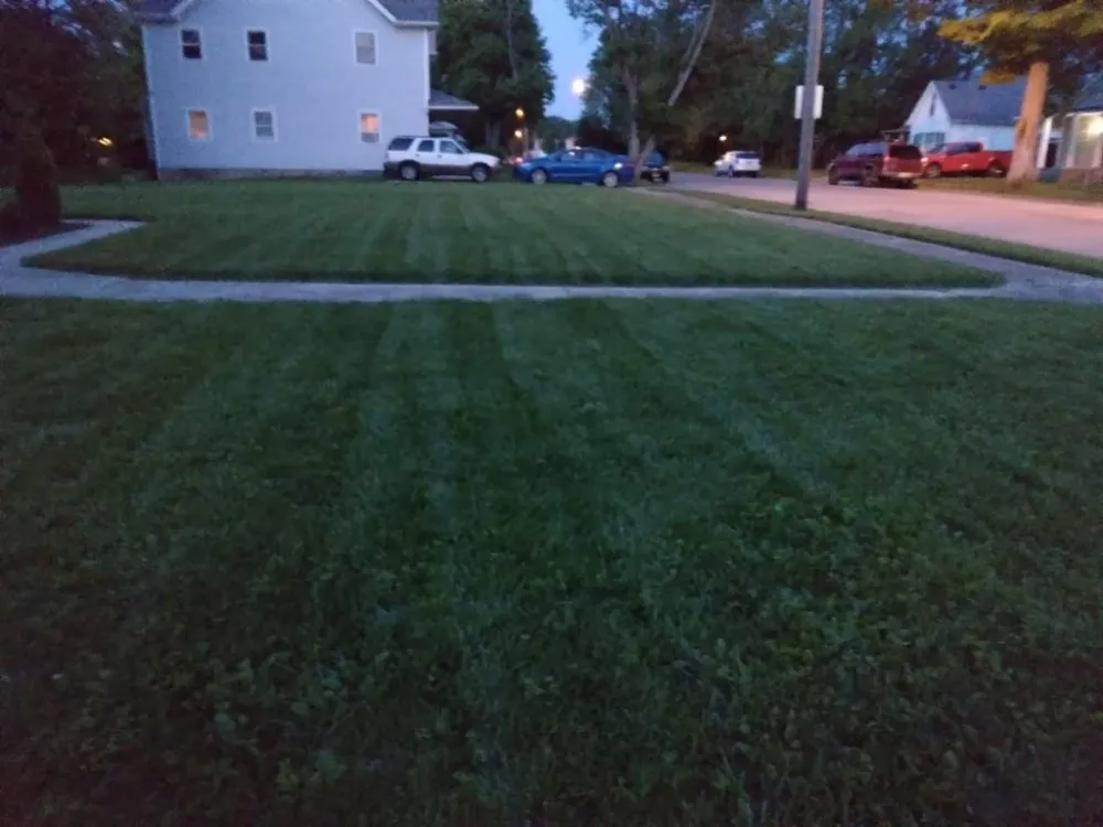 Trusted lawn care service in Jamestown, OH - Bee There Lawn Care & house cleaning services