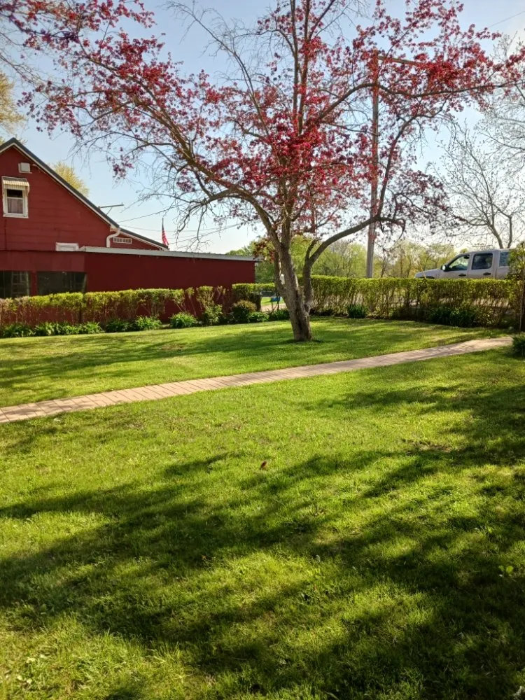 Top-rated yard cleanup service in Dixon, IL - Bee There Lawncare