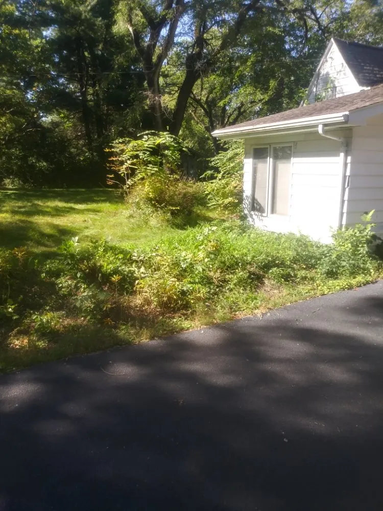 Reliable outdoor landscaping in Dixon, IL by Bee There Lawncare