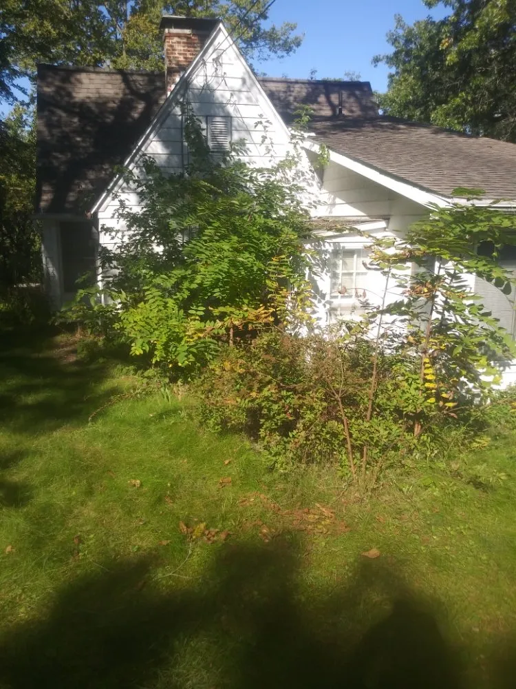 Affordable residential landscaping in Dixon, IL by Bee There Lawncare