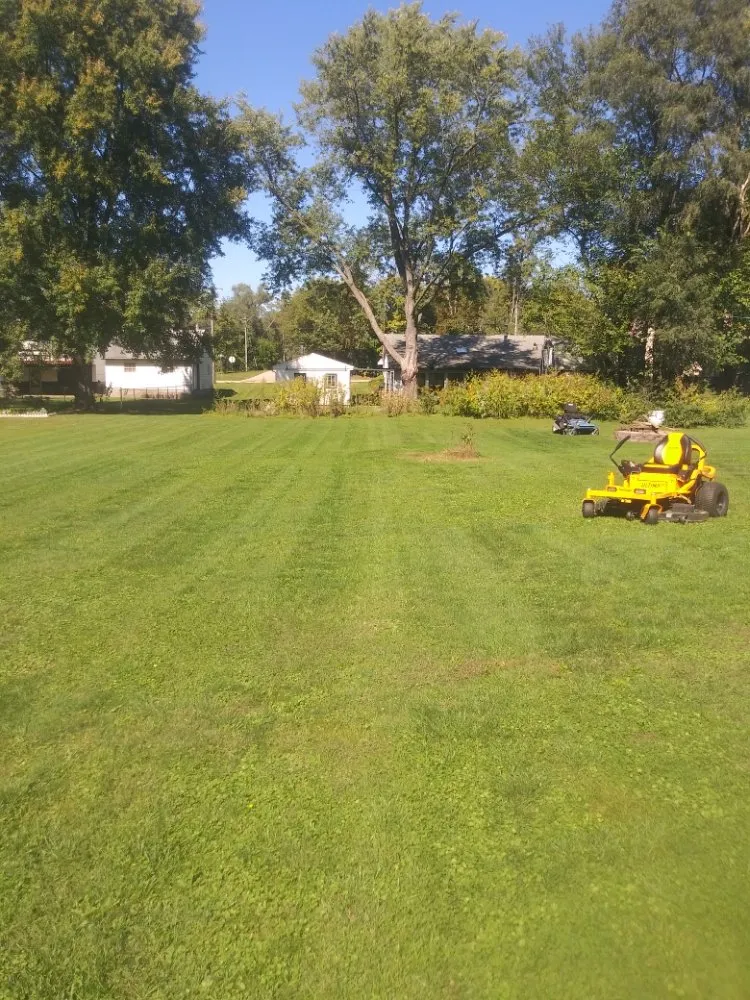 Reliable yard cleanup service for homes across Dixon, IL - Bee There Lawncare