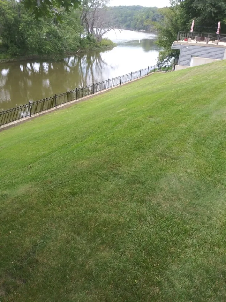 Top-rated residential landscaping experts serving Dixon, IL - Bee There Lawncare