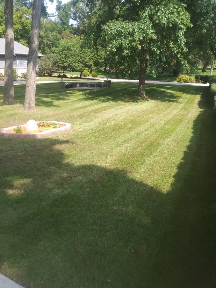 Top-rated yard cleanup service for year-round maintenance across Dixon, IL - Bee There Lawncare