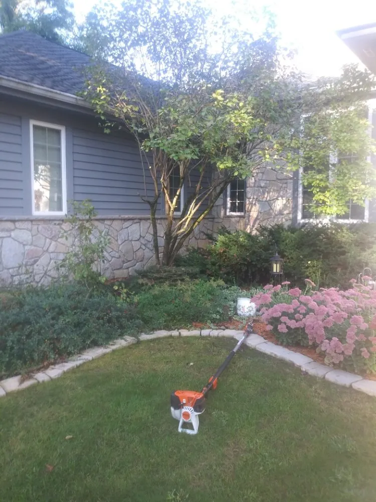 Reliable yard cleanup service experts serving Dixon, IL - Bee There Lawncare