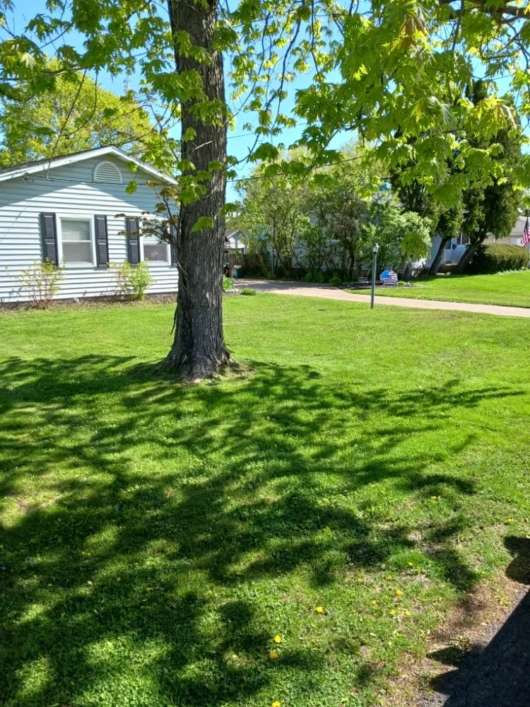 Reliable garden landscaping in Dixon, IL - Bee There Lawncare