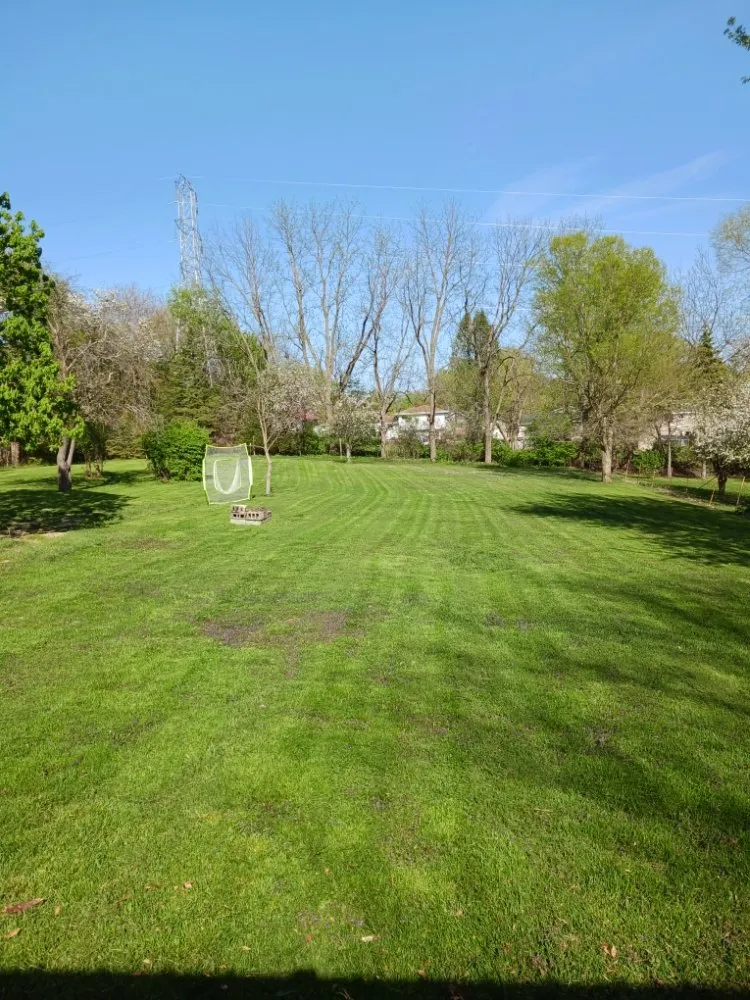 Reliable landscape design experts serving Dixon, IL - Bee There Lawncare