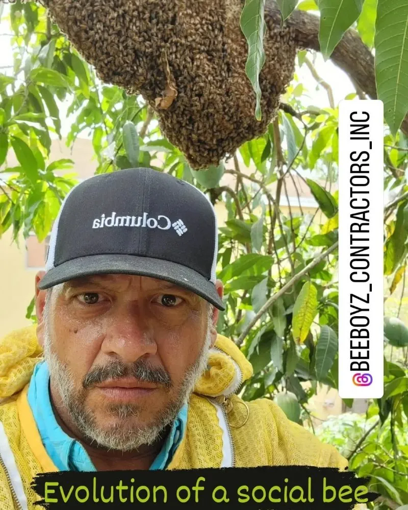 Affordable residential landscaping for beautiful yards across Fort Lauderdale, FL - Beeboyzinc