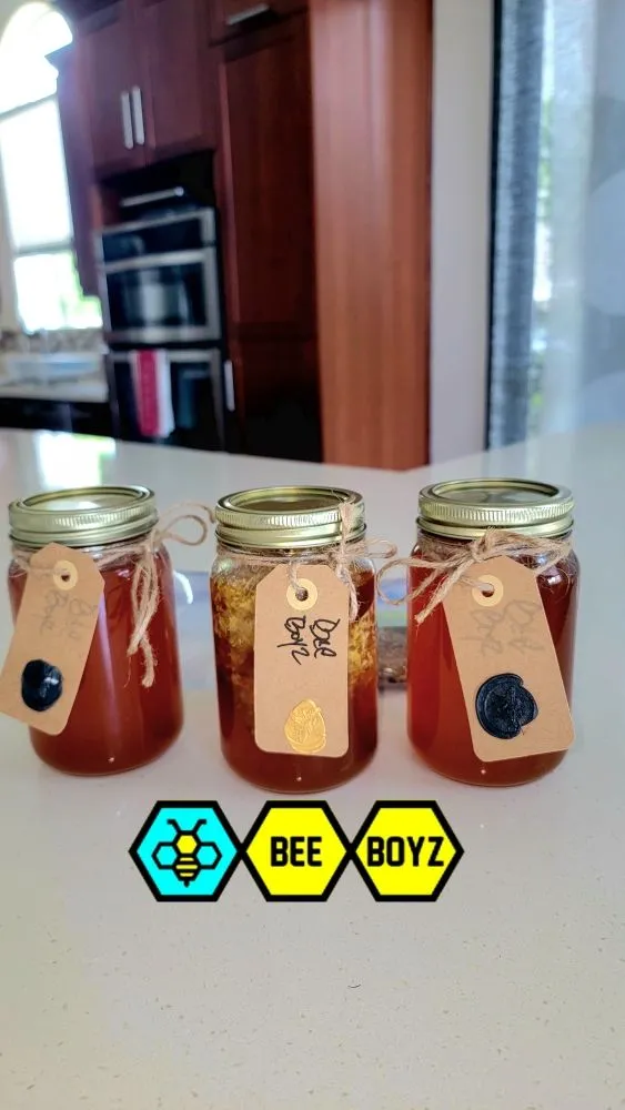 Reliable outdoor landscaping for residential properties across Fort Lauderdale, FL - Beeboyzinc