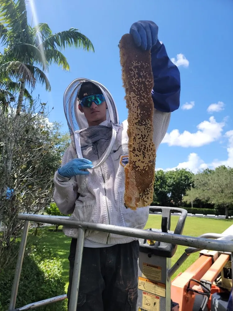 Trusted yard maintenance experts serving Fort Lauderdale, FL - Beeboyzinc